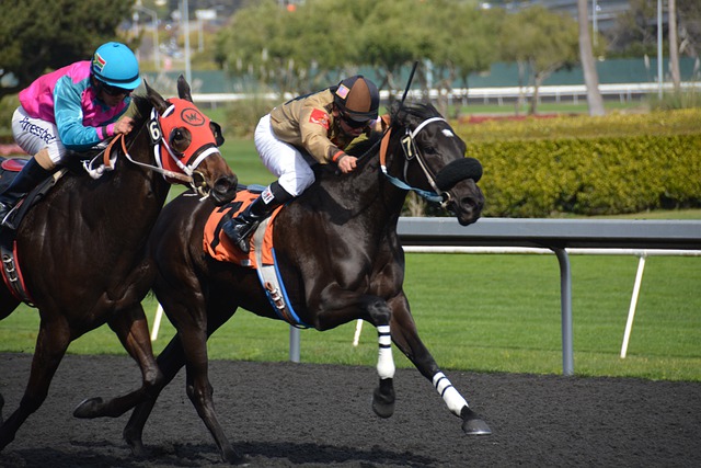 Basic Strategies to Be More Successful on Sports Betting